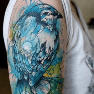 #watercolor #bird #blue