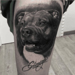 #dog #portrait by @murranbilli 