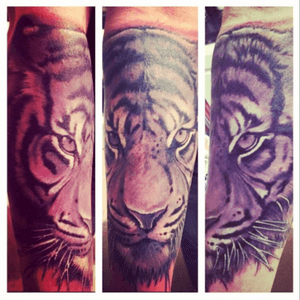 Travelled from Northampton to manchester for this and paid enough money to have booked a holiday abroad for two. Done by Louis Molloy. #Tiger #LowerArm #Tattoos #Northampton #Arm