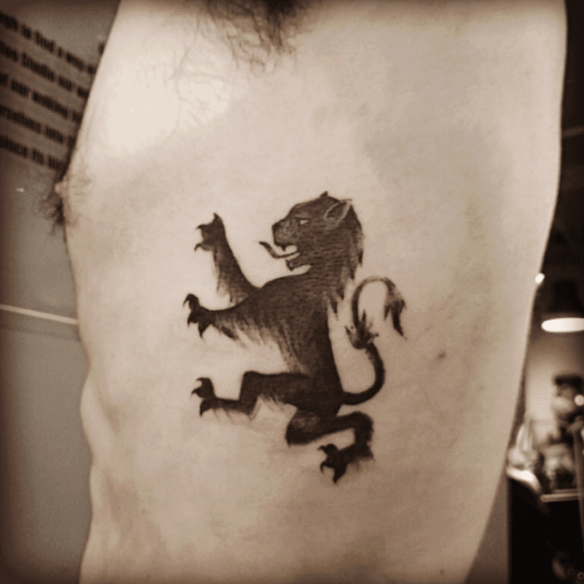 Best Scottish Lion Tattoo Idea  Scottish tattoos Lion tattoo Lion tattoo  meaning