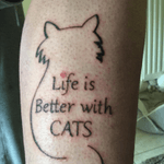 one of my cats tattoos