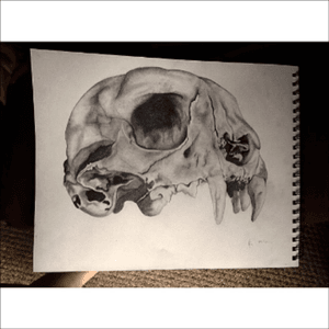 #realism #drawing #skull #megandreamtattoo 