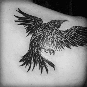 #raven #OdinsRavens 