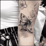 #black #moth #butterfly #tattoo #blackwork #totemica #ontheroad 