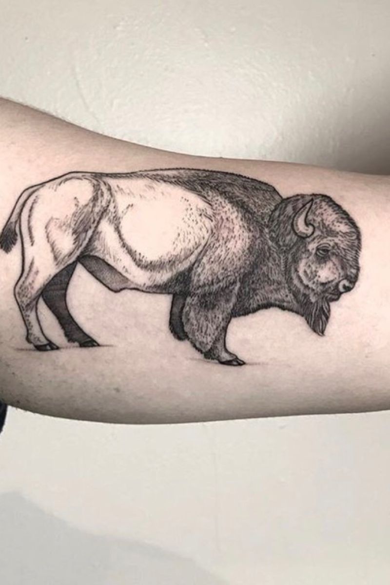 Sacred Albino #bison done by Sue By Suranghee Done at Red Baron Ink Dec 8th...