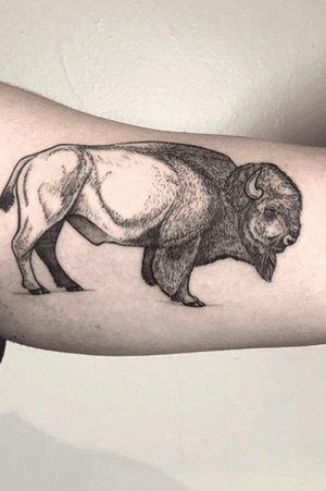 Sacred Albino #bison done by Sue 