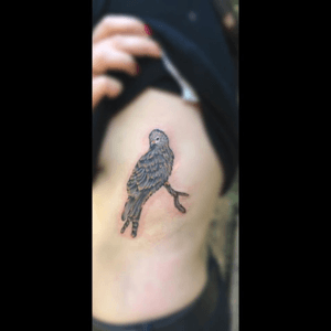 Daya bird for a girl named daya☺️ her first tattoo, was fun! #tattoo #Birdtattooer 