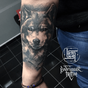 Wolf tattoo #tattoooftheday #wolftatto #blackandgrey