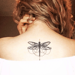 #alexbawn #dragonfly 