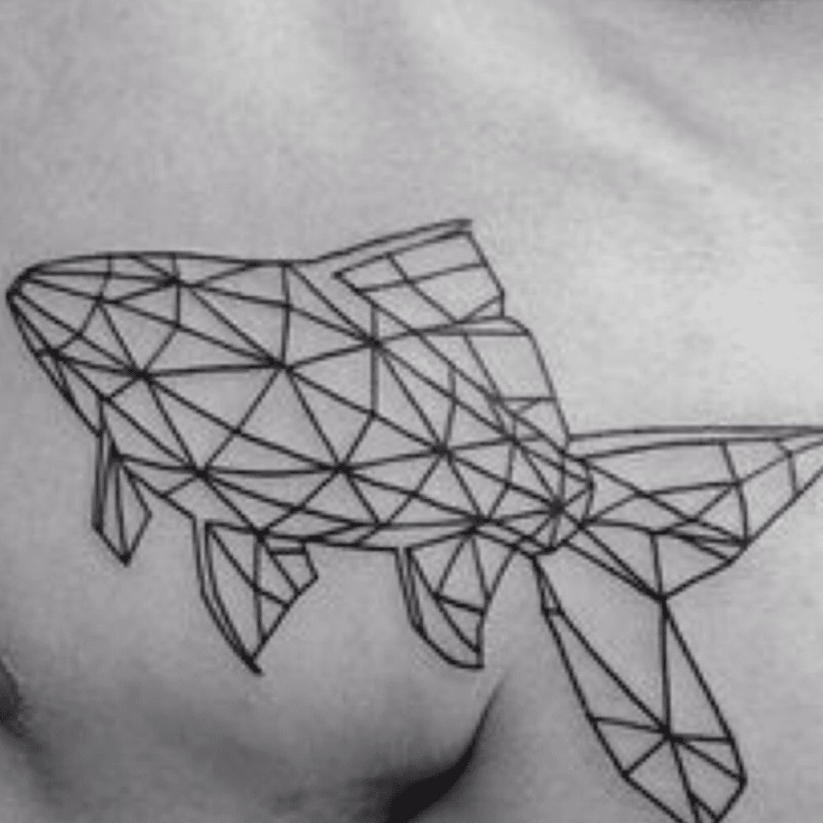 Рыба геометрия рисунок