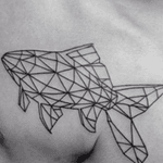 Nice #geometric #fish 