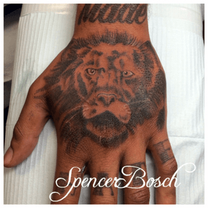 Had so much fun with this , would live to do acouple more !! #lion #liontattoo #hand #jobstopper  #wildlife #blackandgray #fun #jokerscalgary #calgarytattoo #calgary 