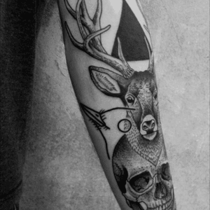 Skull and stag tattoo #skull #stag #deer 