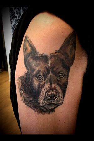 #flake #tattoos #dogtattoo #dogportrait #colorportraittattoo 