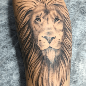 Lion #tattoo #tatuagem #tatuaje #ink #inkaddicts #inkaddict #art #arts #cacoal #brazil #lucaslock #me #artistic #illustration #yes #tattoer #tattooartist 