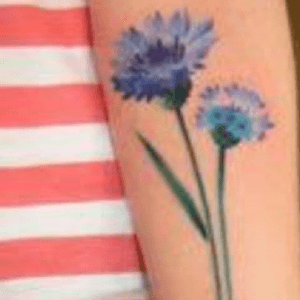 #blue #cornflower #longstem #hope #mnd #welove #flower