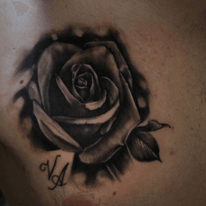 Rosa,black and withe