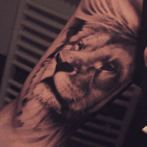 #realism #lion #arm_tattoo 