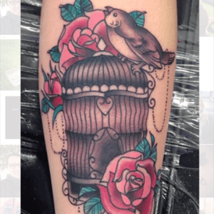Free little birdy #bird #roses #cage #colour #pretty #CarlyBaggins 