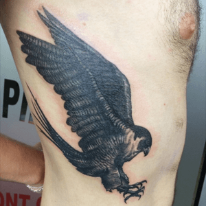 #tattoo #tatouage #inked #ink #inkjecta #tattooartist #tattooart #faucon #rapace #tattooanimals #tattoocollector #tattooedprofessional 
