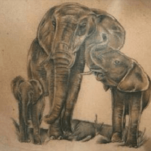#elephants #reallife #tattoo #diamandatattoo #symbolic #myboys #tattooedwomen 