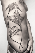 Stingray tattoo #Stingray #StingrayTattoo #linework #ribs #RibsTattoo 