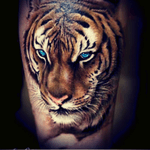 #dreamtattoo #tiger #realism 