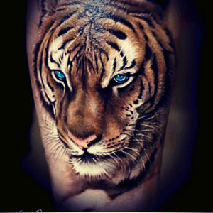 #dreamtattoo #tiger #realism 