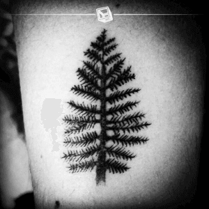 Tat No.18 "Little Pine" #🌲 #tattoo #littletattoo #pine #bylazlodasilva
