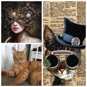 #megandreamtattoo  my dream tatto is my cat toffeas steampunk 
