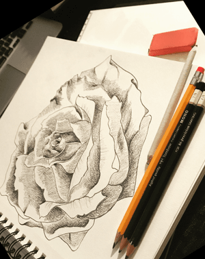 Drew this a few months ago. I love drawing flowers. 