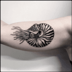 #black #nautilus #deepsea #tattoo #blackwork #totemica #ontheroad 