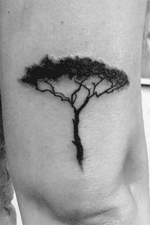 #acaciatree on the back of the elbow #dotworktattoo 