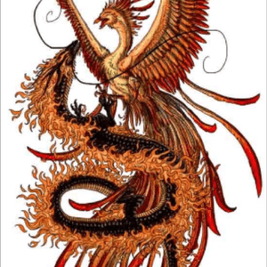Would be a dream come true to get this on my side. #dreamtattoo and then to have it done by #amijames? Sick man.. It would be the best 3  days of my life. Even though my father might have a heart attack. #phoenix #dragon #red #blackandgreytattoo #tattooconcept #sidetattoo #amazing #followmeto #follow 