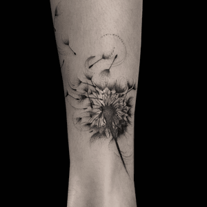 Tattoo by artist Lance Levine.See more of Lance's work here: http://www.larktattoo.com/long-island-team-homepage/lance-levine/.. . . .#dandelion #dandeliontattoo #dandelionflower #dandelionflowertattoo #flower #flowertattoo #bng #bngtattoo #bnginksociety #blackandgraytattoo #blackandgreytattoo #tattoo #tattoos #tat #tats #tatts #tatted #tattedup #tattoist #tattooed #inked #inkedup #ink #tattoooftheday #amazingink #bodyart #tattooig #tattoosofinstagram #instatats  #larktattoo #larktattoos #larktattoowestbury #westbury #longisland #NY #NewYork #usa #art #lance #levine #lancelevine 