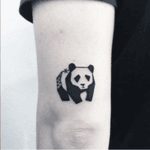 #panda 
