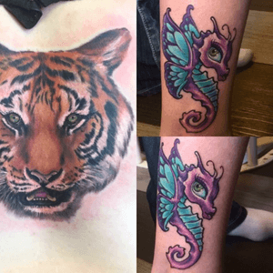 #colorrealism #NewSchool #butterflyhyppocampe #tiger 