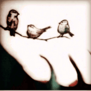 I adore this! #birds #3littlebirds 