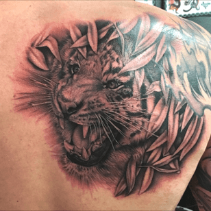 #tigerbackpiece #tiger #newtattoo #back #jungle not finished and still a bit red! 