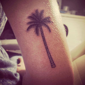 #palmtree #palmtreetattoo #sickpolly #hiddenink #tattooartist #minitattoo 
