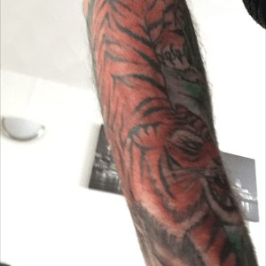 Tiger on forearm