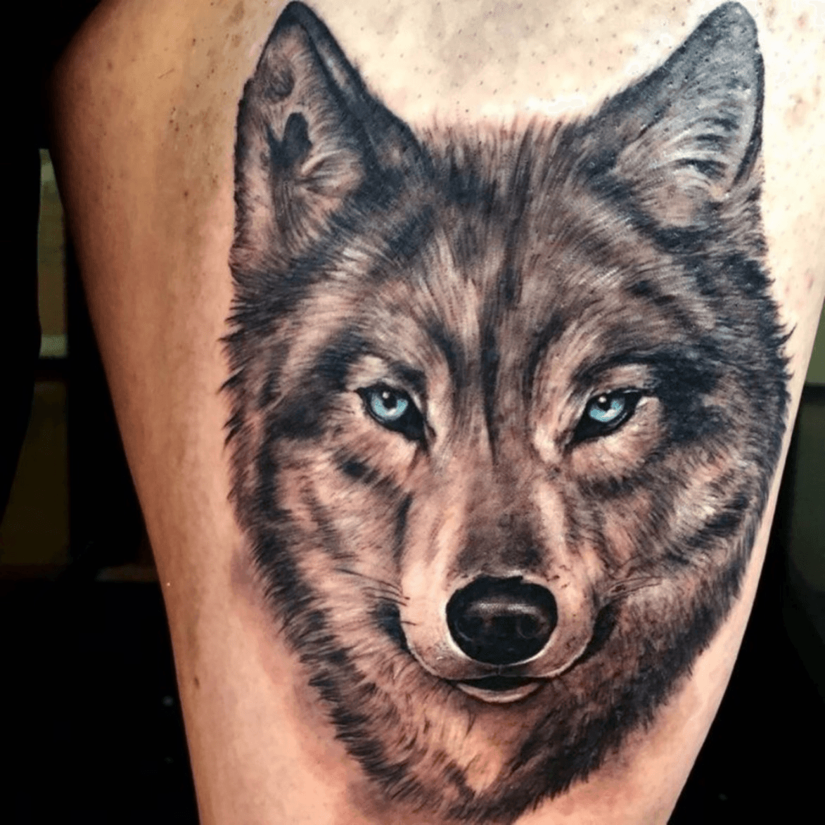 Tattoo uploaded by Brooke  Want a black and grey wolf with blue eyes  megandreamtattoo  Tattoodo
