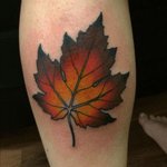 My Maple leaf by Brandon Esteves #mapleleaf #colour 