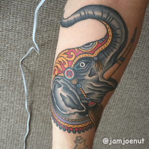 Got my elephant did! Dine by Phil Gibbs @ Stand Proud Tattoo #elephant #traditional #traditionaltattoo #colour #colourtattoo 