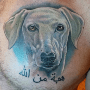 www.ettore-bechis.com #dog #portrait Done  with tubes and needles by @kingpintattoosupply #tattoo #dog #portraitdog #tattooportrait #miamibeach #miami #tattootechnique