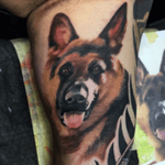 Dog tattoo realism