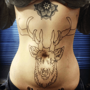  #firstsession #deer #stomachtattoo #stomachandribs #ribs 