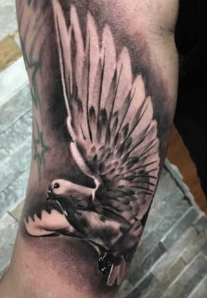 Done by Nick Uittenbogaard - Resident Artist                 #tat #tatt #tattoo #tattoos #ink #inked #inkedup #inklove #inklover #inklovers #blackandgrey #blackandgreytattoo #blackandgreytattoos #bird #birds #birdtattoo #amazingart #amazingink #amazingtattoo #art #culemborg #netherlands 