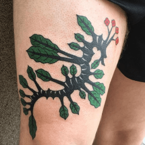 #leafyseadragon #leafy #seadragon #black #green #red #by #tattooartist #Kimsany @kimsany 