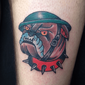 Bulldog #tattoo #tattooflash #bulldogtattoo #ClassicTattoo 